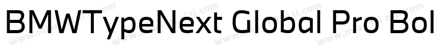 BMWTypeNext Global Pro Bold字体转换